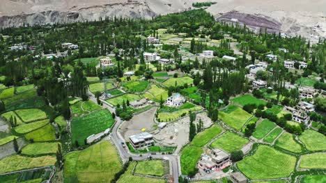 Vista-Aérea-Del-Paisaje,-Los-Edificios-Y-La-Vida-En-Leh,-Ladakh