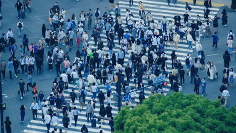 Aerial-view-crowd-of-people-at-the-street-of-Shibuya-scramble-crossing