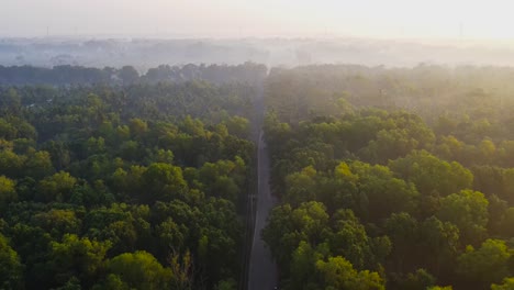 Aerial-view-of-road-in-the-middle-of-forest-in-sunrise-time