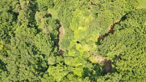 Imágenes-De-Drones-Revelan-Un-Parque-De-Verano-En-El-Reino-Unido