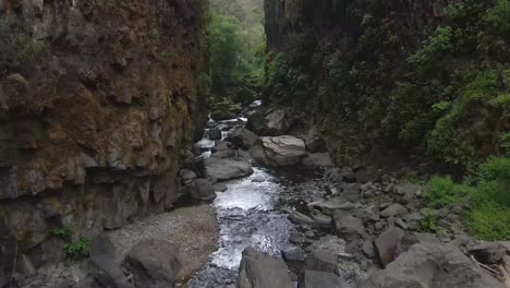 Beautiful-stream-in-the-Veracruz-jungle,-Mexico-nature-travels