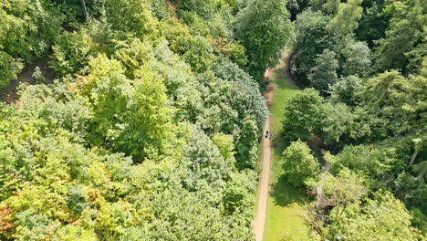 UK-countryside-park's-aerial-drone-view—people-having-fun-by-a-meandering-stream,-inviting-picnic-places,-and-woodland-tourist-allure