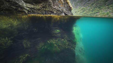 An-over-under-video-showcasing-a-fjord's-rocky-shores-and-submerged-weed-beds