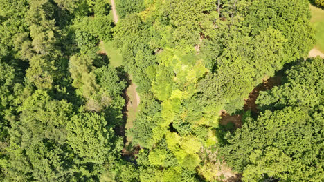 Aerial-drone-video-of-UK-park