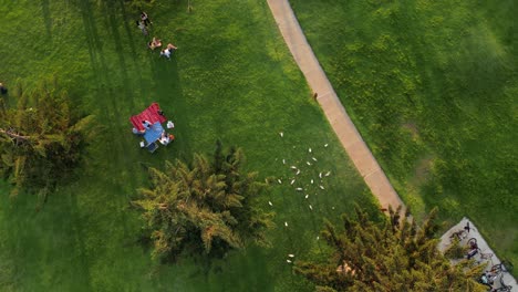 Menschen-Entspannen-Und-Picknicken,-Während-Sie-Sich-Auf-Der-Grünen-Wiese-Des-South-Beach-Parks-In-Fremantle-In-Australien-Unterhalten,-Während-Vögel-über-Ihnen-Fliegen