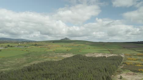 Aerial-View-Dense-Forest-And-Meadow-With-Sugarloaf-Mountain-Peak-In-Wicklow,-Ireland