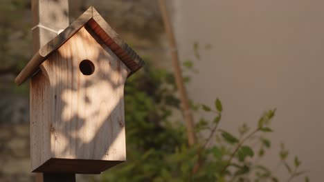 Wooden-birdhouse-hanging-up-from-ground,-handheld-view