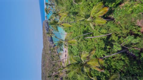 Luftdrohnen-FPV-Des-Strandes-Playa-Madama-In-Samana-Las-Galeras,-Dominikanische-Republik_vertikale-Ansicht