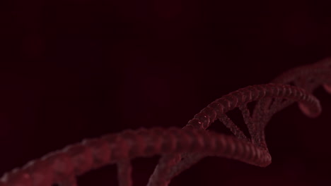DNA-Double-Helix-Strands-Slowly-Rising---3D-Science-Animation