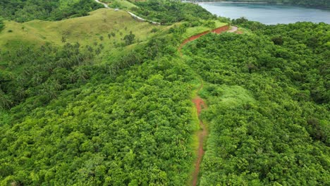 Dirt-access-road-trail-cuts-through-green-tropical-landscape-with-palm-trees-overlooking-ocean