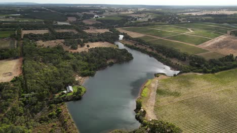 Luftaufnahme-Eines-Natürlichen-Sees-In-Australien,-Umgeben-Von-Einer-Malerischen-Landschaft-Mit-Weinbergen