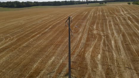 Aerial-pullback-from-concrete-utility-pole-in-France-above-dry-tractor-tracks-on-farmland-field