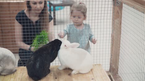 Young-beautiful-mother-with-little-daughter-looking-at-rabbits-in-cage-feeding-them