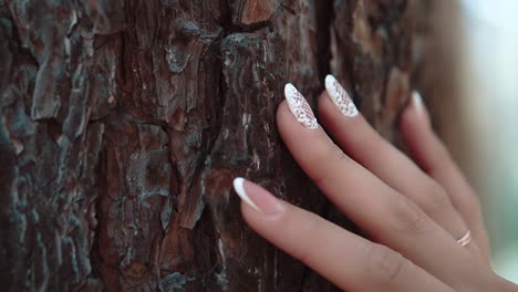 Girl-leads-her-hand-along-the-bark-of-a-tree-close-up-slow-motion