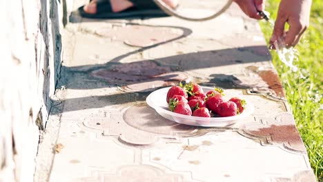 CU-Slow-motion-man-washes-fresh-strawberries-with-cold-water-from-hose-On-it-are-slates