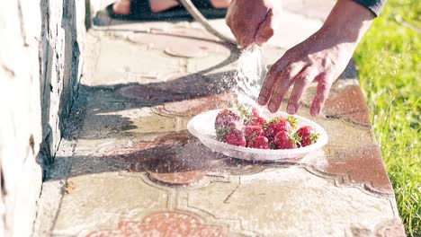 CU-Slow-motion-man-washes-fresh-strawberries-with-water-from-hose-Near-summer-house