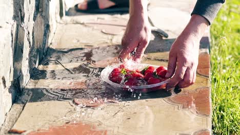 In-Zeitlupe-Wäscht-Ein-Mann-Frische-Erdbeeren-Mit-Kaltem-Wasser-Aus-Einem-Schlauch,-Die-Sonne-Steht-Im-Zenit