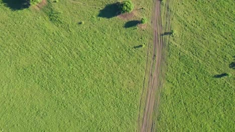 Luftaufnahmen-über-Solarfeldern,-Auch-Waldtouristen-Zu-Pferd-Sichtbar,-Blick-Senkrecht-Nach-Unten