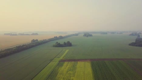 Vuelo-Aéreo-Sobre-Hermosos-Campos-También-Visible-Niebla-Agrocultura-Sombras-De-Las-Nubes