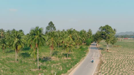tourists-on-motorbike-ride-along-road-among-palm-tree-forest