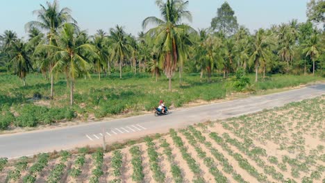 girl-rides-along-asphalt-road-among-green-palm-forest