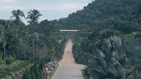 car-drives-fast-along-asphalt-road-among-tropical-forest