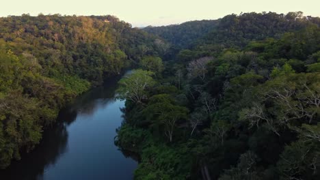 Luftaufnahme-über-Dem-Fluss-Macal-Und-Dem-üppigen-Tropischen-Dschungel-In-San-Ignacio,-Belize