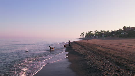 Silueta-De-Hombre-Jugando-Con-Perros-En-La-Playa