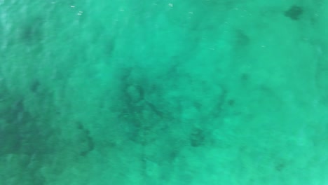 Top-down-view-of-crystal-clear-turquoise-tropical-ocean-water-by-a-sandy-shore