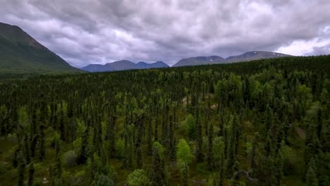 Alaska-Wilderness-near-lake-clark-alaska