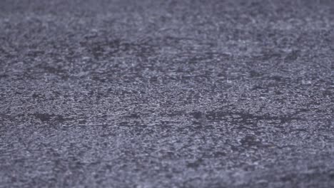 Lluvia-Cayendo-Sobre-Asfalto-Y-Creando-Pequeños-Charcos