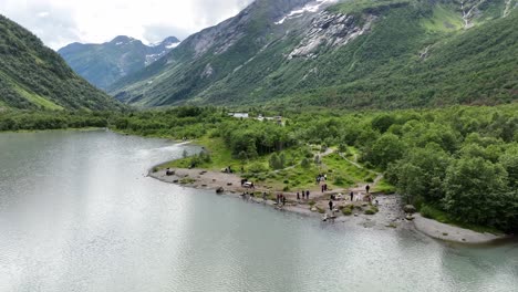 Tourists-standing-beside-glacial-lake-Brevatnet-to-enjoy-Boyabreen-glacier-view---Aerial-above-lake-looking-towards-crown-of-people-with-lush-green-Boyadalen-in-background