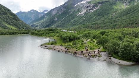 Turistas-Parados-Junto-Al-Lago-Glacial-Brevatnet-Para-Disfrutar-De-La-Vista-Del-Glaciar-Boyabreen---Antena-Sobre-El-Lago-Mirando-Hacia-La-Corona-De-Personas-Con-Exuberantes-Boyadalen-Verdes-En-El-Fondo