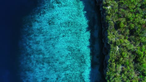 Shimmering-water-ripples-and-shadow-from-green-cliff-coastline-of-curacao,-aerial-rising