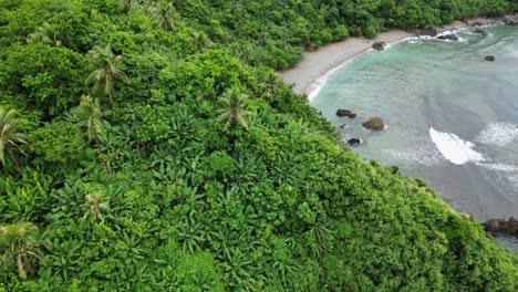 Remote-sand-beach-surrounded-by-rain-forest-jungle-in-the-Philippines,-aerial