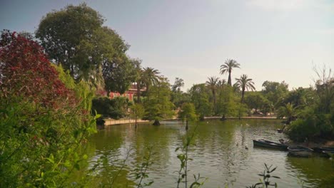 Stunning-video-of-a-lake-and-nature-in-Parc-de-la-Ciutadella---Barcelona,-Spain