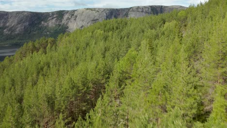 Antena-Sobre-Un-Bosque-De-árboles-A-Lo-Largo-Del-Lago-Nisser-Hacia-La-Cordillera-De-Langfjell,-Treungen,-Telemark,-Noruega