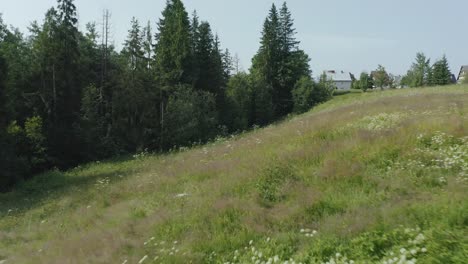 Blumenfelder-Und-Bäume-Im-Ländlichen-Dorf-Im-Sommer-In-Cyrhla,-Podhale,-Polen