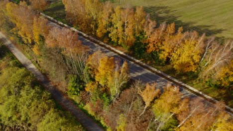 Rural-Road-Between-Lush-Forest-With-Colorful-Autumn-Trees---aerial-drone-shot