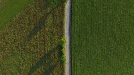 Top-View-Of-A-Dirt-Road-Between-Fields-In-The-Pasture-Mountains-In-Podhale-Region,-Poland