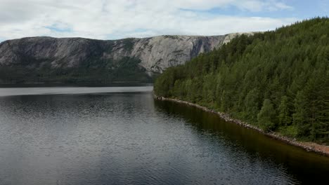 Antena-Más-Allá-De-Un-Bosque-En-El-Lago-Nisser-Y-La-Cordillera-Langfjell-En-El-Fondo,-Treungen,-Telemark,-Noruega