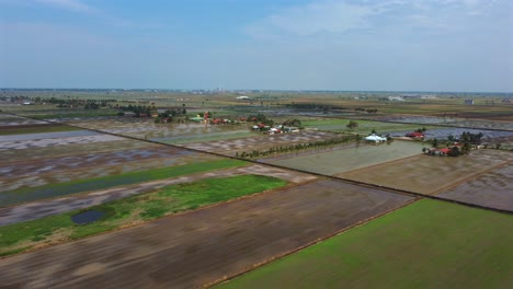 Green-paddy-fields-with-some-waterlogged-fields,-aerial-pull-back-shot-with-blue-sky