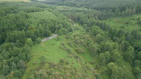 Flying-over-dense-pine-forest-with-parked-cars-and-winding-road-through-trees