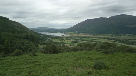Flying-low-over-stone-wall-to-reveal-green-valley-countryside,-mountains-and-Bassenthwaite-lake-on-cloudy-summer-day