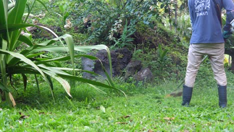 Close-up-of-a-man-using-a-weed-eating-machine-in-the-tropics