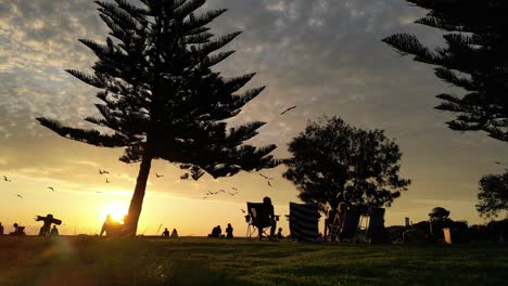 Sunset-in-a-park-near-Fremantle-in-Western-Australia