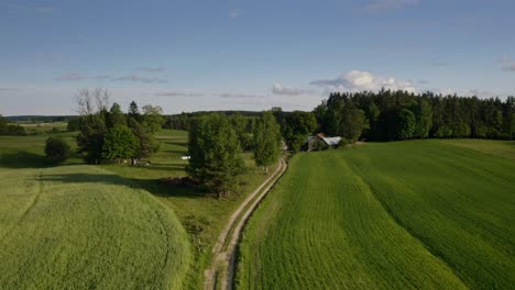 Retroceso-Sobre-Senderos-En-Campos-Verdes-En-Las-Tierras-De-Cultivo-Cerca-De-Warmia,-Polonia
