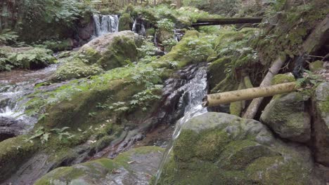 Cascada-De-Fuente-De-Agua-Pura-En-Bambú,-Bosque-De-Piedra-Verde-Del-Valle-Japonés-Panorámico-En-Verano,-Tentokuji-Japón