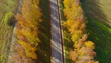 Malerische-Fahrt-Auf-Einer-Landstraße-Durch-Herbstbäume-In-Der-Slowakei