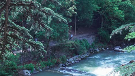 A-men-walks-his-dogs-along-the-Passer-promenade-in-Meran-on-a-nice-sunny-day